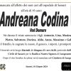 Andreana Codina